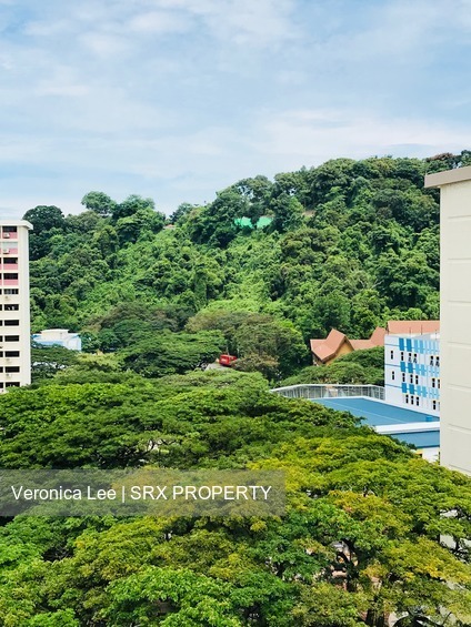Blk 15 Telok Blangah Crescent (Bukit Merah), HDB 3 Rooms #176602992
